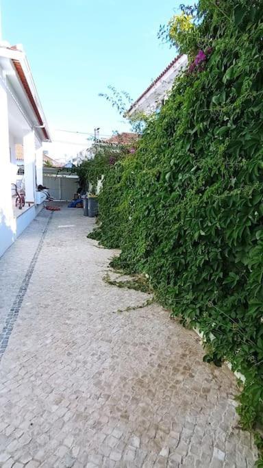 Private Small Studio In Costa De Caparica المظهر الخارجي الصورة
